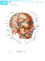 Sobotta Atlas of Human Anatomy  Head,Neck,Upper Limb Volume1 2006, page 89